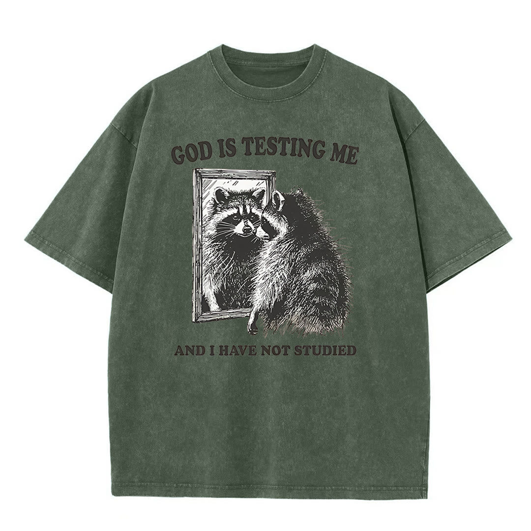 Christianartworkshop God Is Testing Me And I Have Not Studied Unisex Washed T-shirt