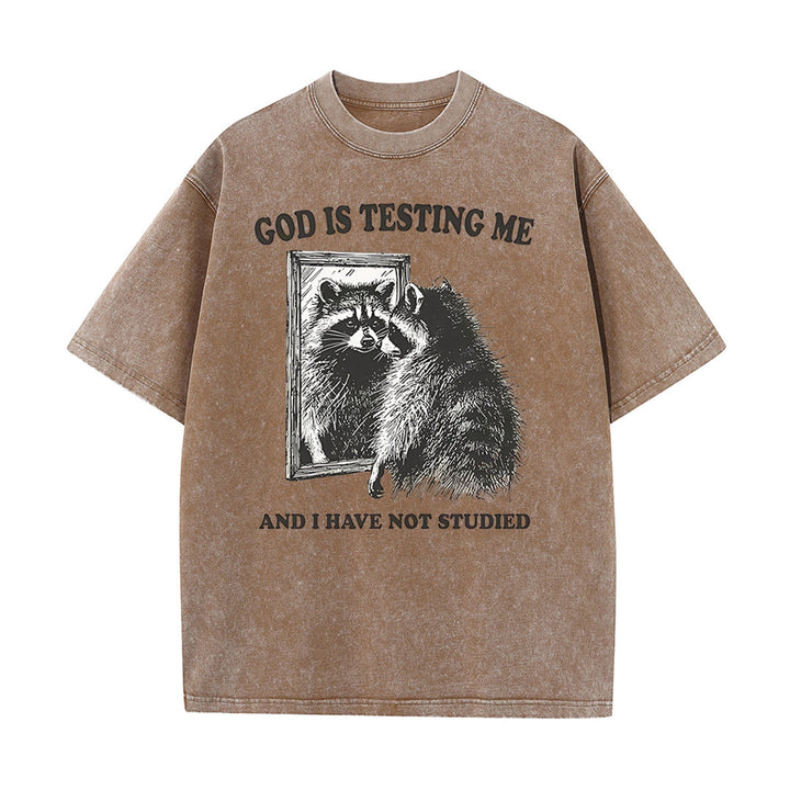 Christianartworkshop God Is Testing Me And I Have Not Studied Unisex Washed T-shirt