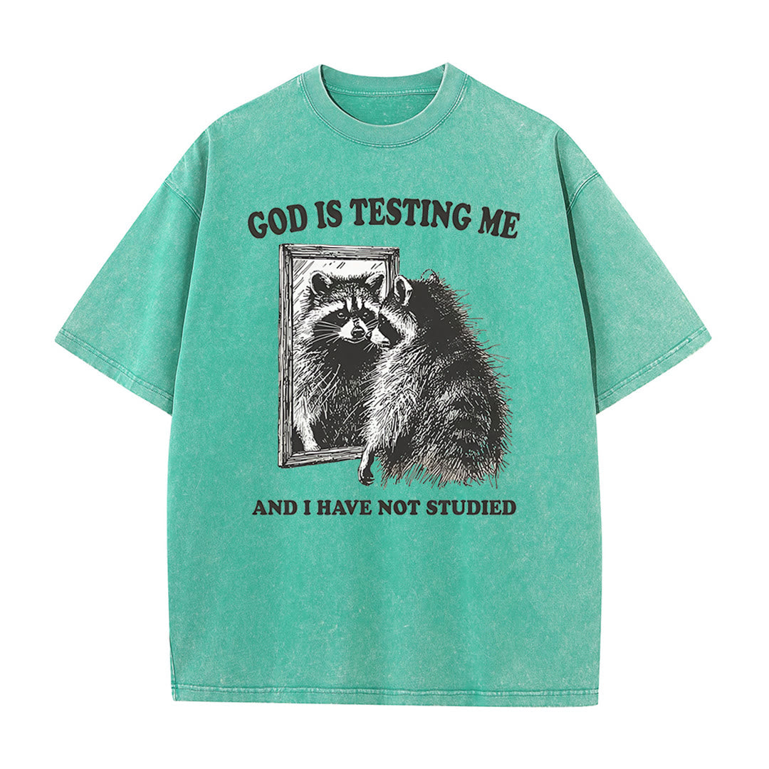 Christianartworkshop God Is Testing Me And I Have Not Studied Unisex Washed T-shirt