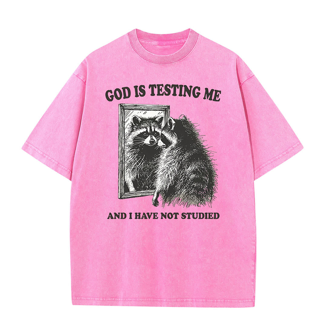 Christianartworkshop God Is Testing Me And I Have Not Studied Unisex Washed T-shirt