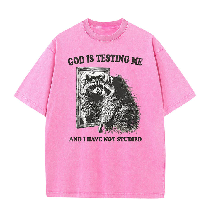 Christianartworkshop God Is Testing Me And I Have Not Studied Unisex Washed T-shirt