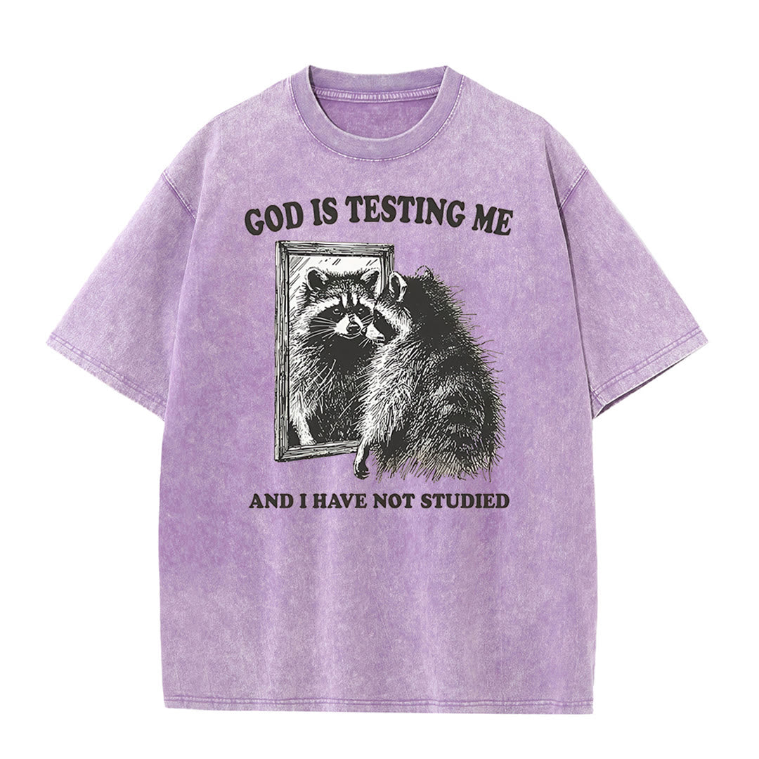 Christianartworkshop God Is Testing Me And I Have Not Studied Unisex Washed T-shirt