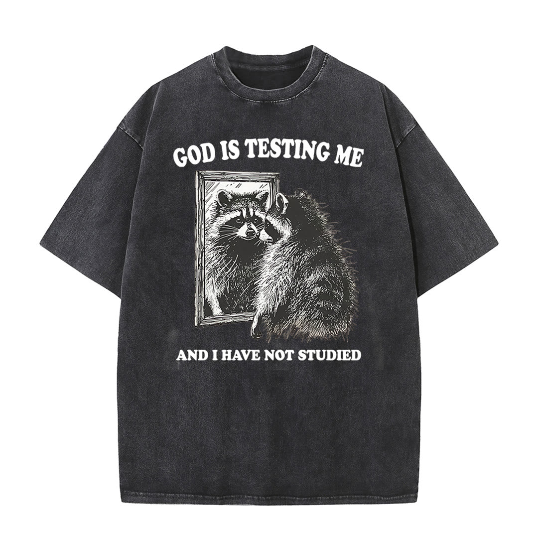 Christianartworkshop God Is Testing Me And I Have Not Studied Unisex Washed T-shirt