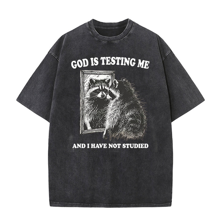 Christianartworkshop God Is Testing Me And I Have Not Studied Unisex Washed T-shirt