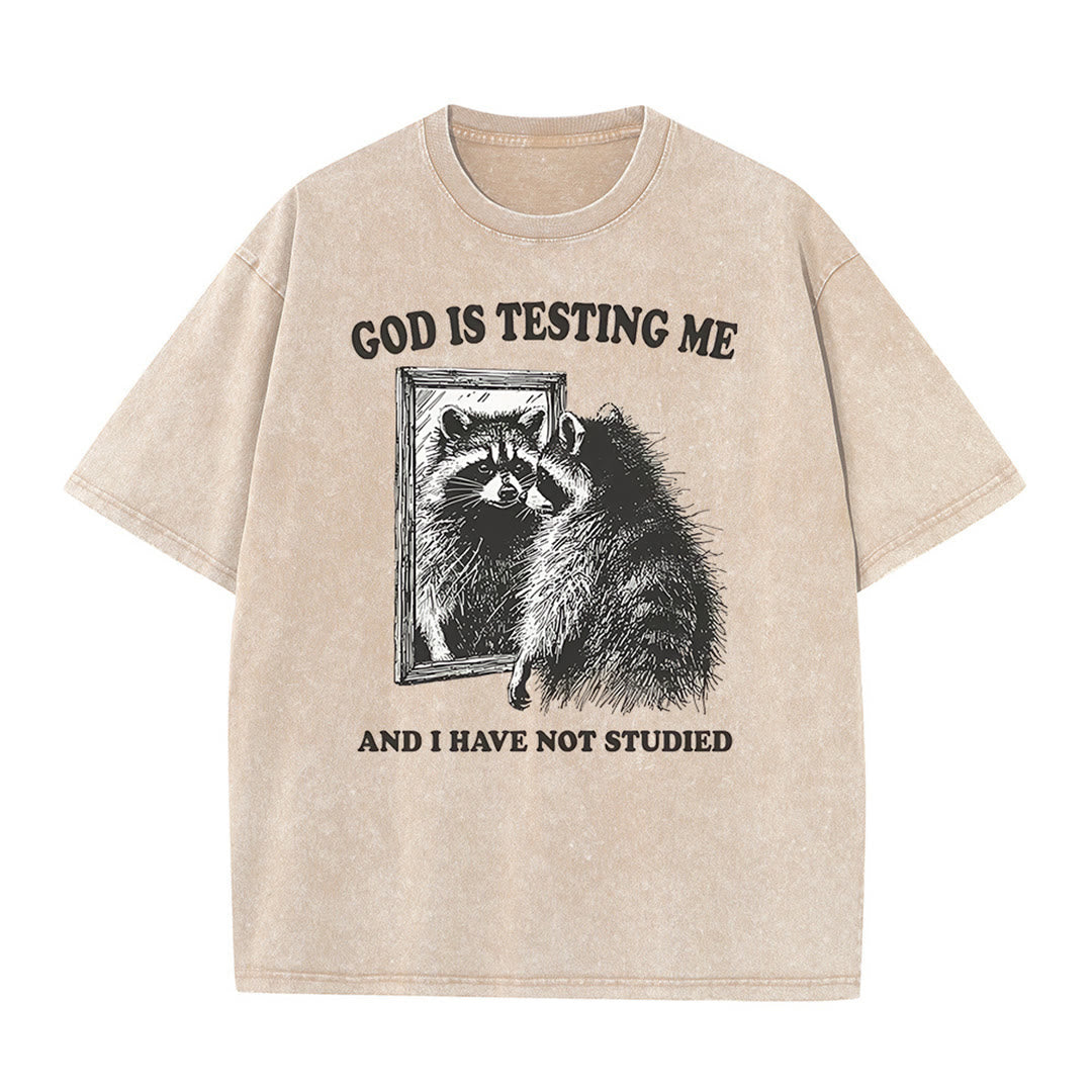 Christianartworkshop God Is Testing Me And I Have Not Studied Unisex Washed T-shirt