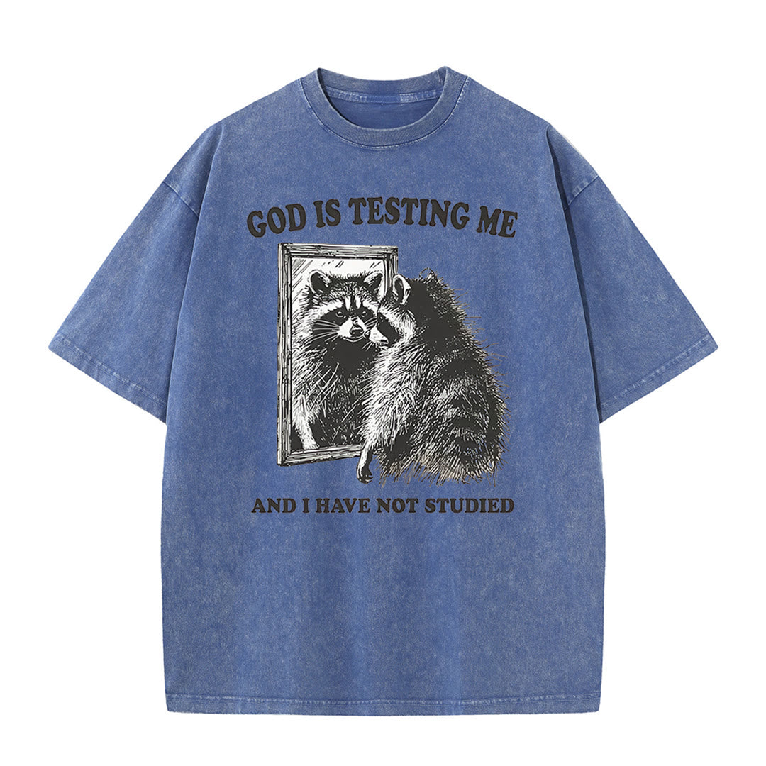 Christianartworkshop God Is Testing Me And I Have Not Studied Unisex Washed T-shirt