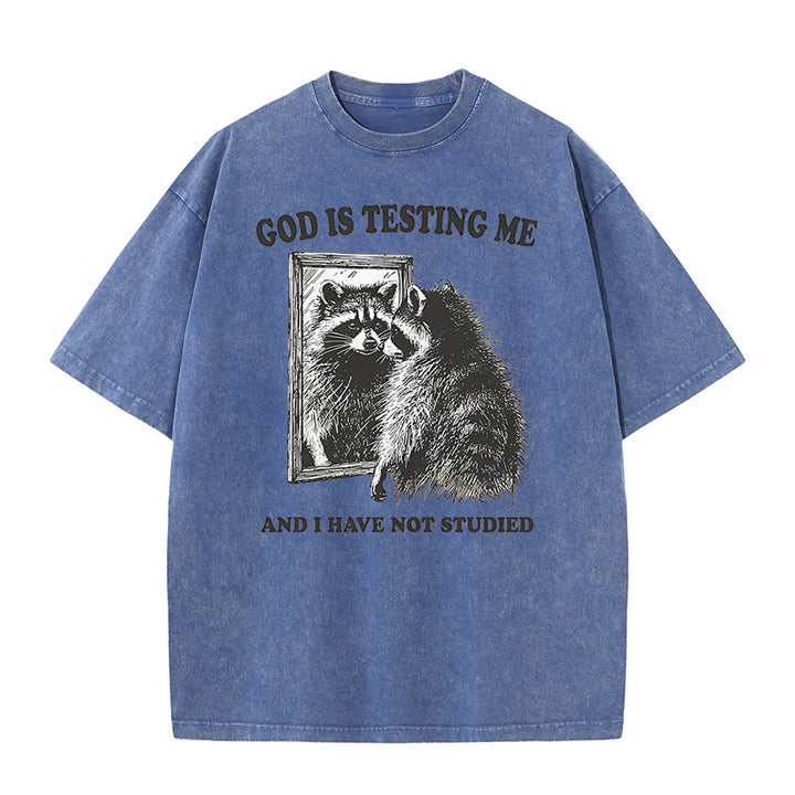Christianartworkshop God Is Testing Me And I Have Not Studied Unisex Washed T-shirt