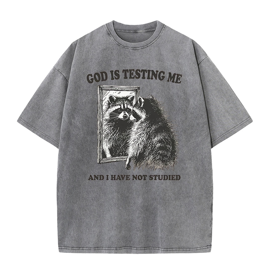 Christianartworkshop God Is Testing Me And I Have Not Studied Unisex Washed T-shirt