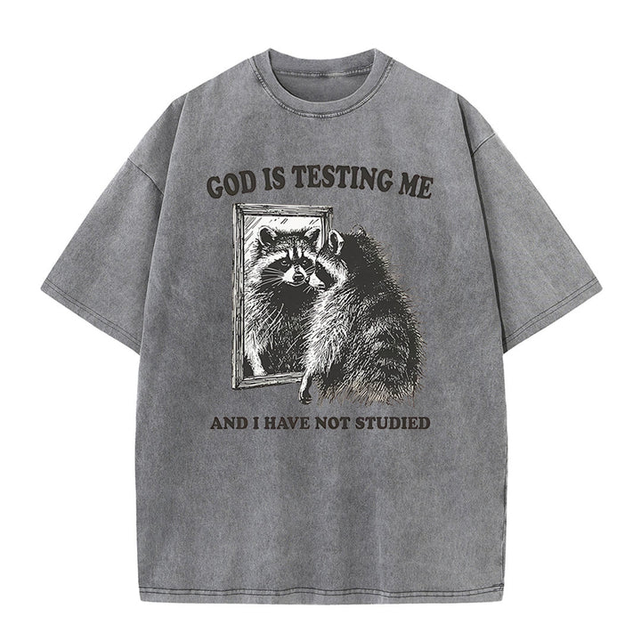 Christianartworkshop God Is Testing Me And I Have Not Studied Unisex Washed T-shirt